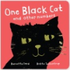 One_black_cat_and_other_numbers