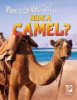 Ride_a_camel_