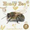 Life_cycle_of_a_honey_bee