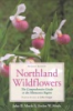 Northland_wildflowers