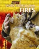 Saving_animals_from_fires