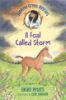 A_foal_called_Storm