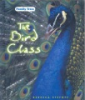 The_bird_class