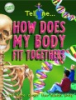 How_does_my_body_fit_together_