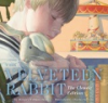 The_velveteen_rabbit__or__how_toys_became_real