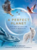 A_perfect_planet