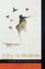 Follow_the_blackbirds