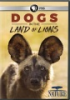 Dogs_in_the_land_of_lions