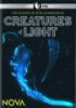 Creatures_of_light