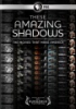 These_amazing_shadows___the_movies_that_make_America