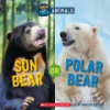 Sun_bear_or_Polar_bear