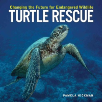 Turtle_rescue