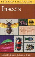 A_field_guide_to_the_insects