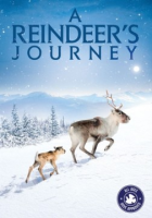 A_reindeer_s_journey