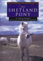 The_Shetland_pony