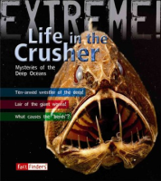 Life_in_the_crusher