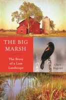 The_Big_Marsh