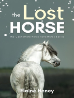 The_Lost_Horse--Book_6_in_the_Connemara_Horse_Adventure_Series_for_Kids