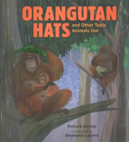 Orangutan_hats_and_other_tools_animals_use