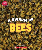 A_swarm_of_bees