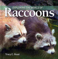 Exploring_the_world_of_raccoons