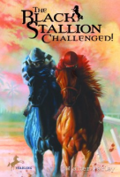 The_black_stallion_challenged_
