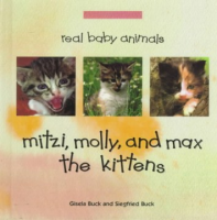 Mitzi__Molly__and_Max_the_kittens