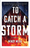 To_catch_a_storm