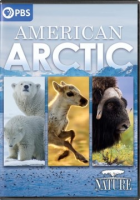 American_Arctic