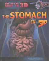 The_stomach_in_3D