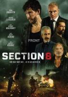 Section_8