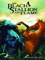 The_black_stallion_and_Flame