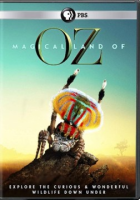 Magical_land_of_Oz