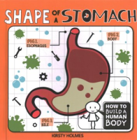 Shape_of_a_stomach