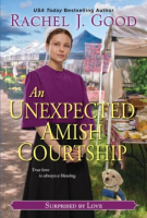 An_unexpected_Amish_courtship