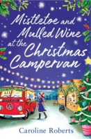 Mistletoe___mulled_wine_at_the_Christmas_campervan