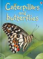 Caterpillars_and_butterflies