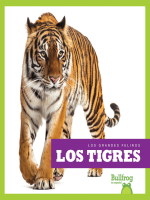Los_tigres__Tigers_