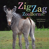 Zigzag_zooborns_