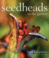 Seedheads_in_the_garden