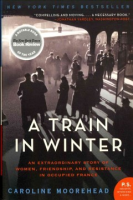 A_train_in_winter