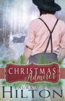 The_Christmas_admirer