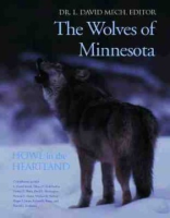 The_wolves_of_Minnesota