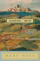 Learning_to_drive