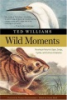 Wild_moments