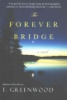 The_forever_bridge