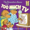 The_Berenstain_bears_and_too_much_TV